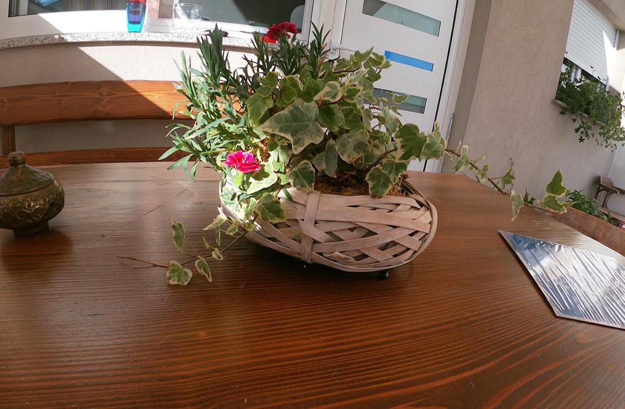 Tiktok Apartman Zára Kültér fotó